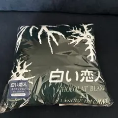 Item thumbnail for item 52661be8-ff44-4ed1-91d3-44e490329154