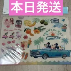 ディズニー　サニーサニーサマー　クリアファイル