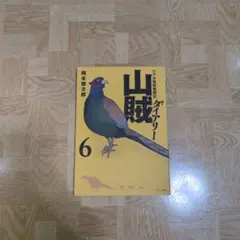 山賊ダイアリー 6