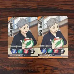 3601 ノーマルバボ 菅原 孝支 ハイキューバボカ ハイキュー