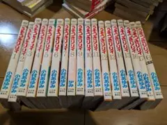 うそつきリリィ 全17巻セット＋番外編