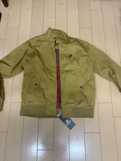 Item thumbnail for item 8a5f8236-95dc-423a-846f-01ac3bd49fcc