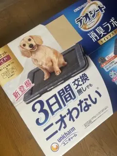 Item thumbnail for item 5fde9223-f88d-4910-9f81-1259117527e1