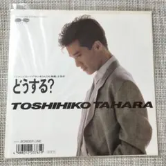 EPシングルレコード / 田原俊彦 / どうする？