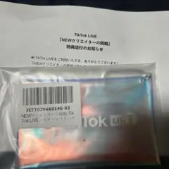 ラスト１つ！！早い者勝ち！TikTok非売品　オーロラポーチ