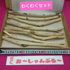 流木セットno.350