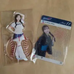 ヤクルトスワローズ　Passion　アクリルスタンド　クリアカード　AMI