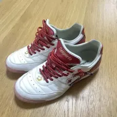 Desporte フットサルシューズ　20周年　25.5 AMO靴紐付 美品