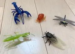 レア 昆虫キター♪───O(≧∇≦)おまけ