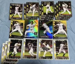 Item thumbnail for item c76f2263-52d6-4cc3-9214-e461358b6fc1