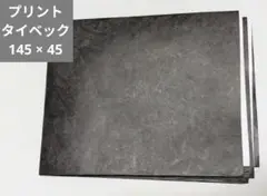 プリントタイベック 145 x 45 cm 手芸 バッグ デュポン アウトドア