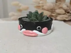 リメイク缶 ナマズ