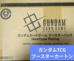 ガンダムカードゲーム Newtype Rising GD01 カートン未開封