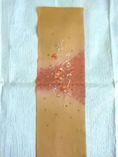 Item thumbnail for item bd3a72af-f89c-4427-9682-622759652748