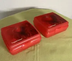 Item thumbnail for item b7518bbc-d3e8-4211-b775-0041eff83b6d