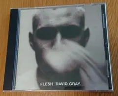 David Gray / Flesh ディヴィット・グレイ / フレッシュ