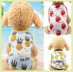 Item thumbnail for item e65a6095-6d28-4c04-8d13-a4b5a312f54d