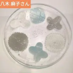 2025年最新】八木麻子の人気アイテム - メルカリ