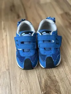 Item thumbnail for item a0963f86-7d5d-41b8-9049-3c852b8bc1b6