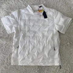 Item thumbnail for item d469d68a-d392-4958-8710-21b758bcbbd1