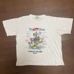 古着　短丈Tシャツ　 Lサイズ