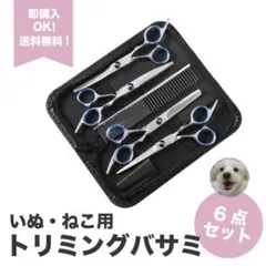 Item thumbnail for item 386dc29a-cada-42c9-a959-98ef9026e8ed