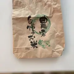 米袋10キロ用　1枚　紙袋　工作　クラフト　小分け用