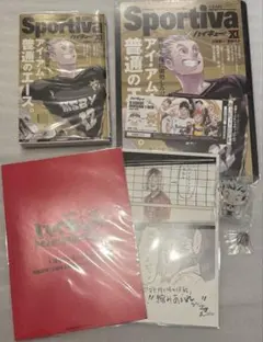 ハイキュー 木兎光太郎