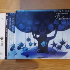 Predawn「手のなかの鳥」限定アナログ盤 レコード 2025年最新】PREDAWN 手のなかの鳥の人気アイテム - メルカリ