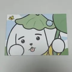 専用