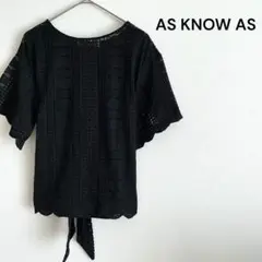 アズノウアズ　半袖Tシャツ　袖レース　リボン　フェミニン　お出かけ　女子会　黒