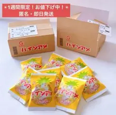 ミニチュアフード　ミニチュア