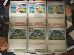リーリエの決心 3枚、活力の森 3枚　セット