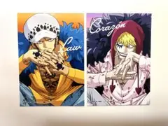 ONEPIECE エンスカイ 生ブロマイド　ロー　コラソン　2枚セット