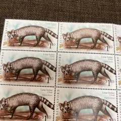 Item thumbnail for item 6e98993c-3573-4f6d-8900-60dfdd645d53