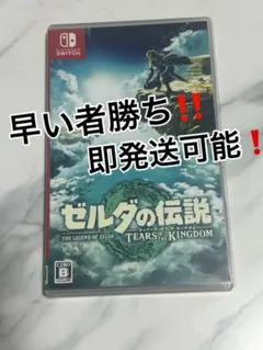 早い者勝ち❗️即発送可能❗️ゼルダの伝説　ディアーズオブザキングダム！