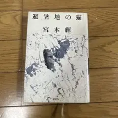 ＊＊書籍＊避暑地の猫＊些細＊書籍＊