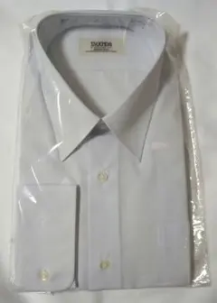 Item thumbnail for item c5b5f226-add1-4957-8976-e413bdcdfb22