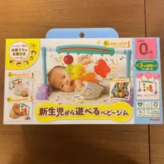 新生児から遊べるベビージム