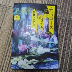チューベローズで待ってる 加藤シゲアキ　AGE22　小説