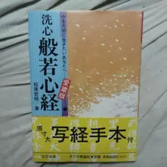 洗心 般若心経 愛蔵版