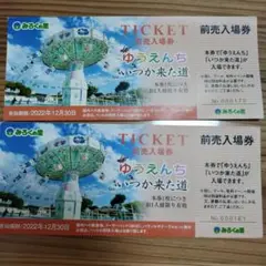 広島県福山市みろくの里入場券2枚セット