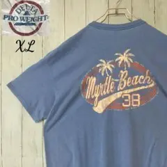 DELTA デルタ 半袖Tシャツ XL マートルビーチ38 青