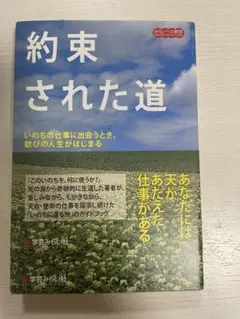 約束された道 - 学習の古い社