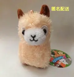 動物園ふれんずマスコット2　アルパカ　プライズ品　ぬいぐるみ　キーホルダー