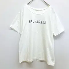 アースミュージックアンドエコロジー 英字プリント Tシャツ 【L】 白 コットン
