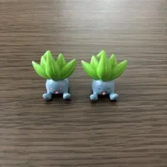 ナゾノクサ