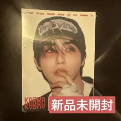 KARMA 新品未開封 アルバム CD アコーディオン ハン