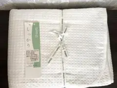 ロフテー株式会社　シーツファクトリー　綿 100%シングルシーツ訳あり