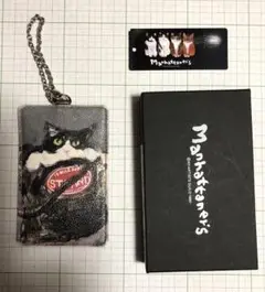 Item thumbnail for item 31cd8ccf-e7c9-40aa-85e5-e34324181195